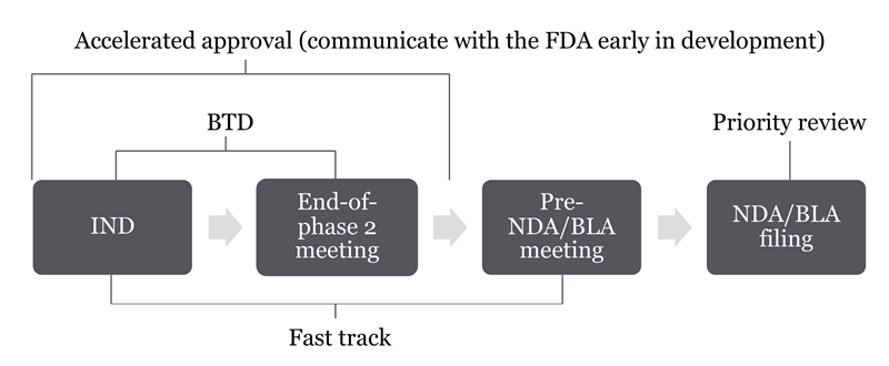 FDA Grants Fast Track to Palisade Bio's Drug Candidate