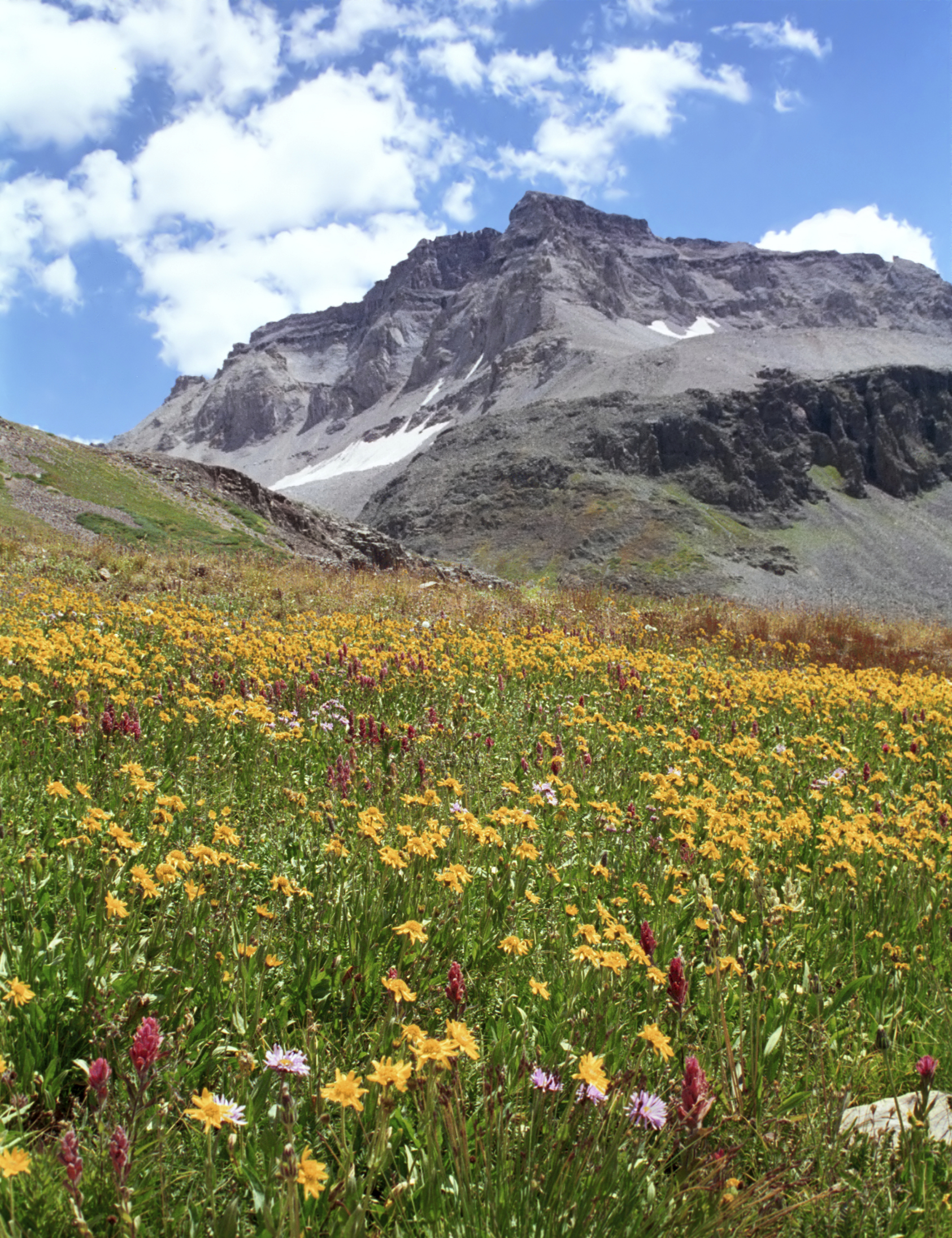 A meadow with a mountain in the background