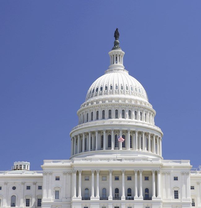 The DC Capitol dome
