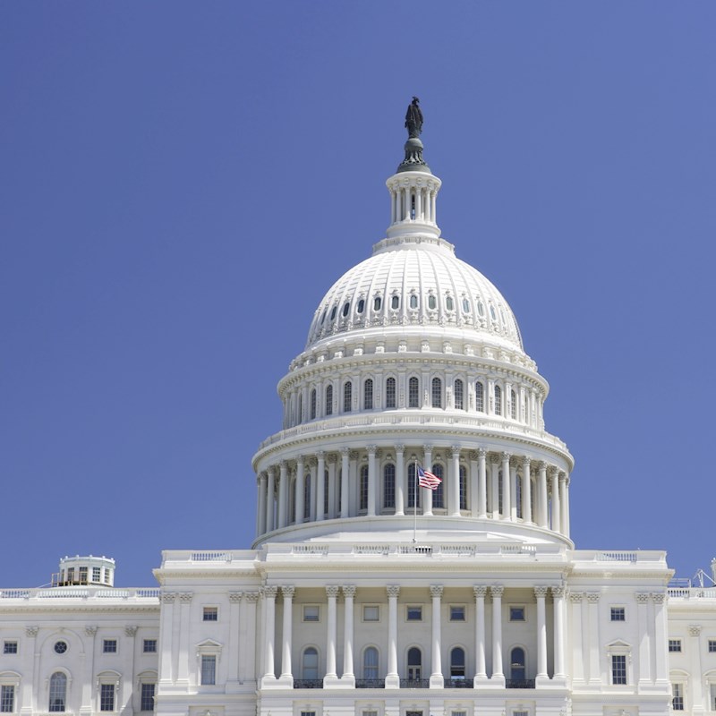 The DC Capitol dome